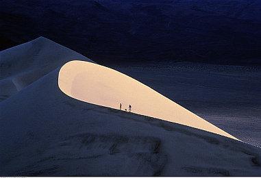 《灾厄堡垒》Steam愿望单突破20万 即时战略塔防